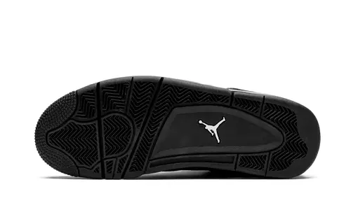 Air Jordan 4 Air Jordan 4 Retro 'Black Cat 2020' 