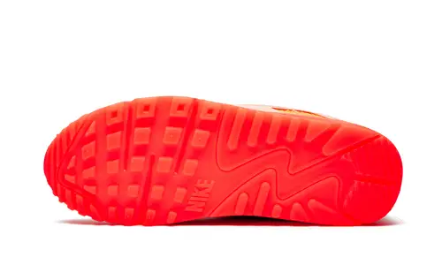 Nike Air Max AIR MAX 90 PRM WMNS 'Platinum Crimson Bright Purple' 