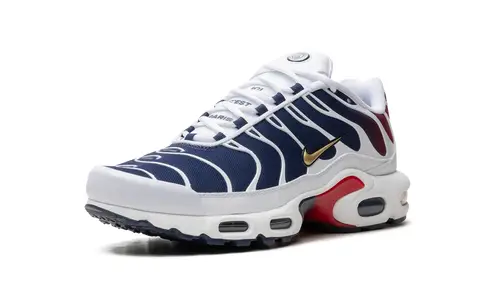Nike Air Max Air Max Plus 'PSG'