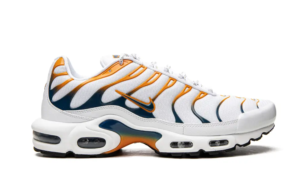 Nike Lifestyle Air Max Plus 'Hiking' 