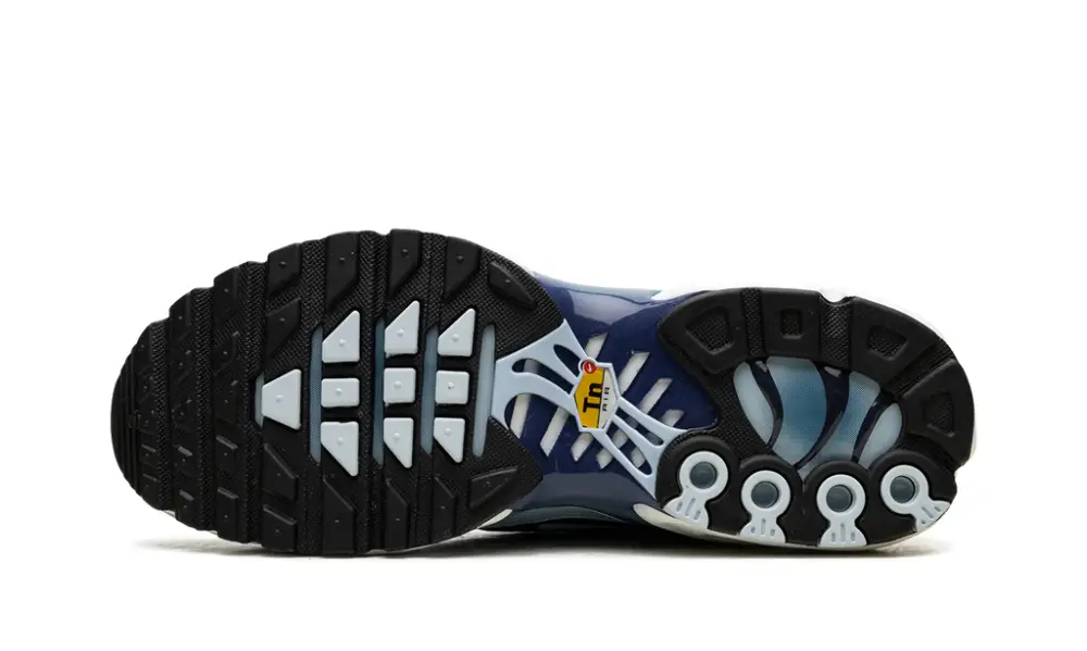 Nike Air Max NIKE AIR MAX PLUS WMNS 'Celestine Blue'