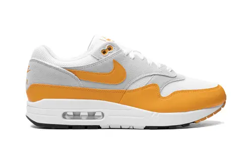 Nike Air Max Air Max 1 'Gold' 