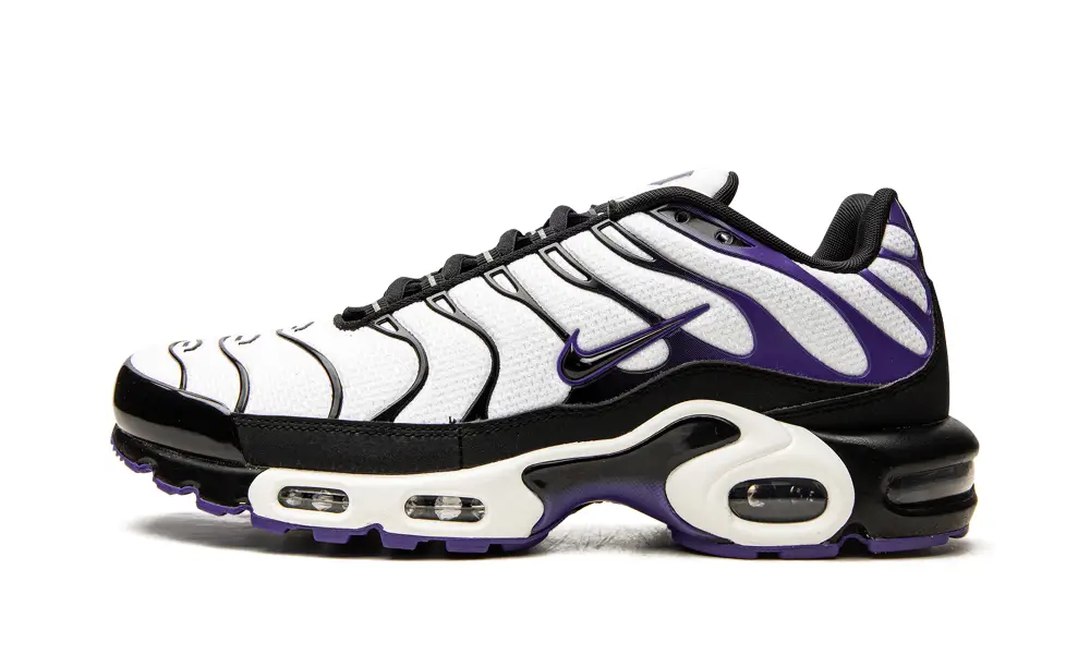 Nike Air Max Air Max Plus 'Persian Violet' 