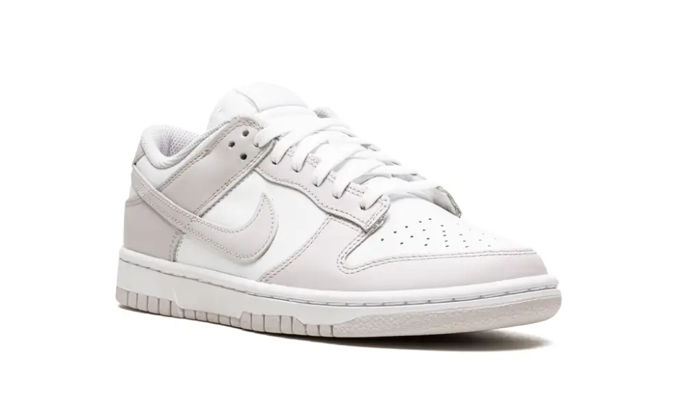 Nike Dunk DUNK LO MNS WMNS 'Venice'