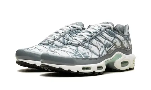 Nike Air Max Air Max Plus 'Waterway'