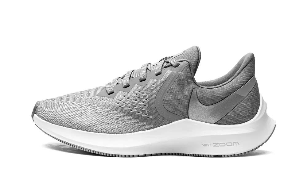 Nike Lifestyle ZOOM INFLO 6 MNS WMNS 