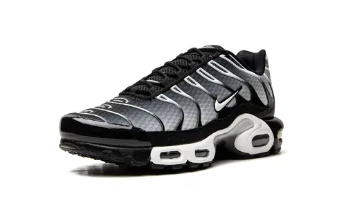Nike Lifestyle Air Max Plus 'Black Silver'