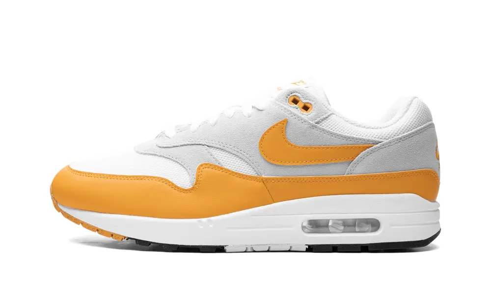 Nike Air Max Air Max 1 'Gold' 09B9319