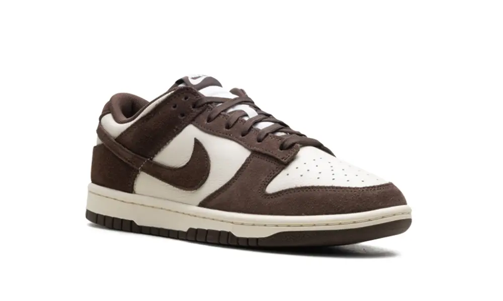 Nike Dunk Dunk Low Retro SE 'Pale Ivory Baroque Brown' 