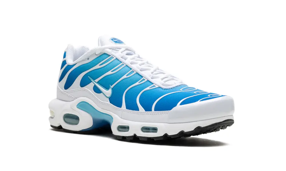 Nike Air Max Air Max Plus 'Blue Gaze' 