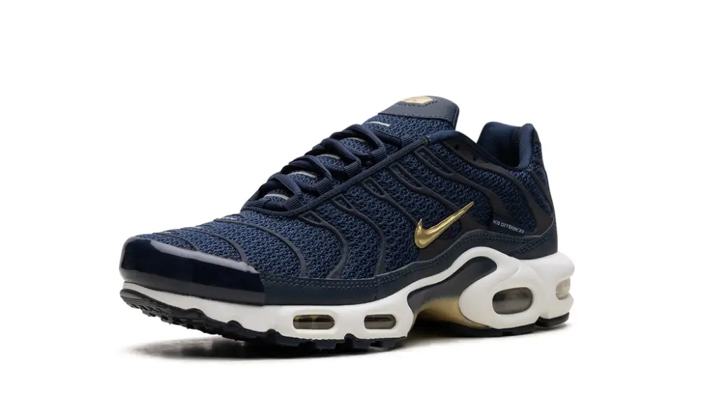 Nike Air Max Air Max Plus 'FFF'