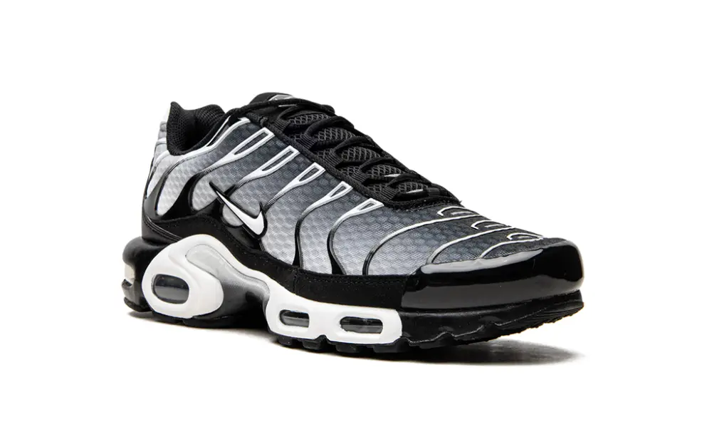 Nike Lifestyle Air Max Plus 'Black Silver'