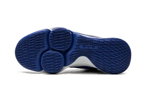 Nike Basketball LeBron Witness V 
