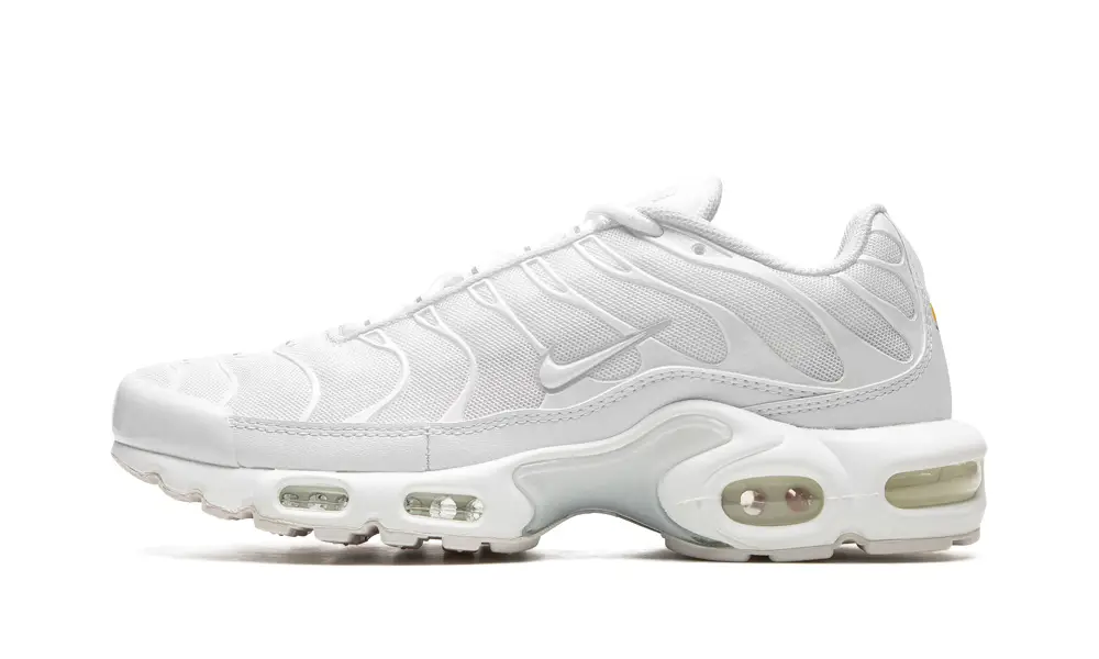Nike Air Max AIR MAX PLUS WMNS 'Pure Platinum'