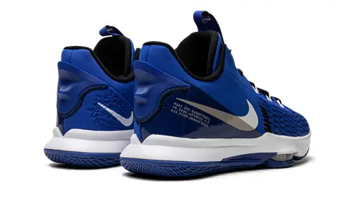 Nike Basketball LeBron Witness V