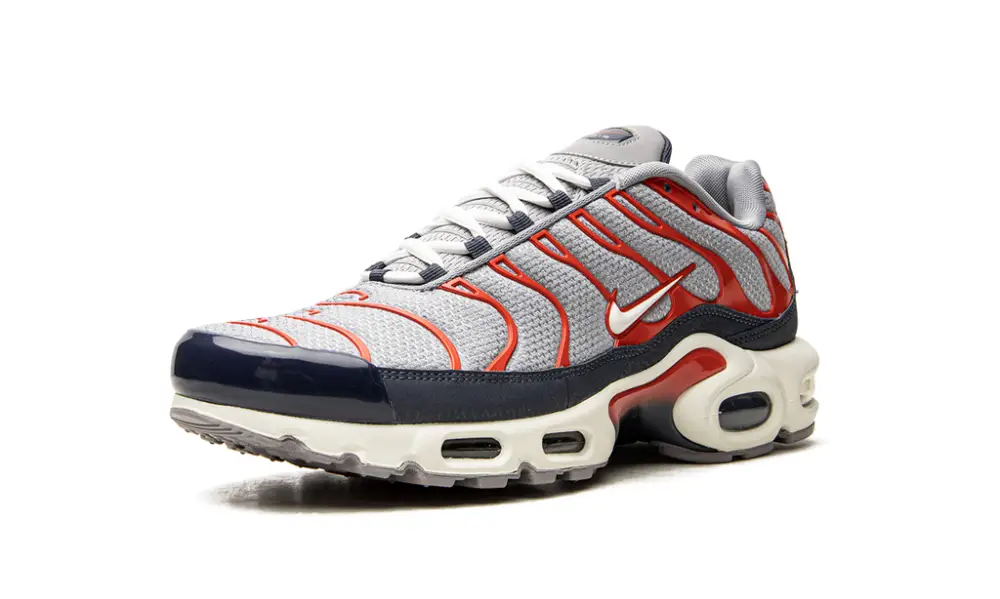Nike Air Max Air Max Plus 'USA Grey'