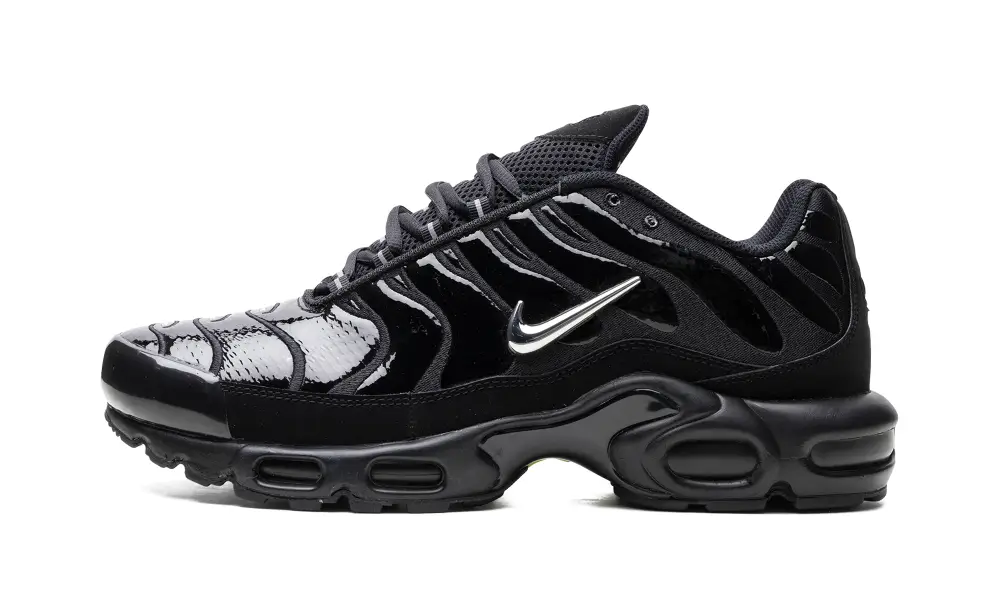Nike Air Max Air Max Plus 'Metallic Black'