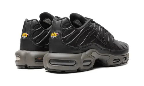 Nike Air Max Air Max Plus 'Black Tea Petra Brown' 'Black Tea Petra Brown'