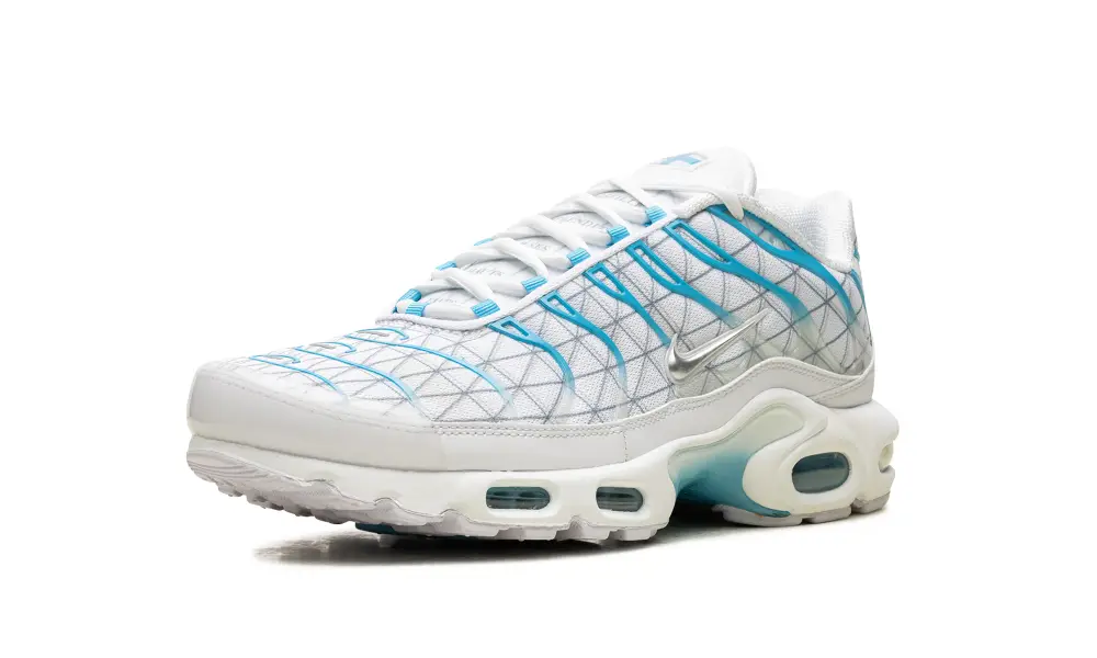 Nike Air Max Air Max Plus 'Marseille' 