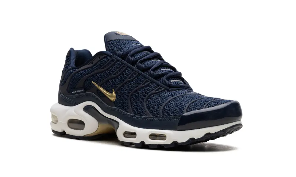 Nike Air Max Air Max Plus 'FFF' 