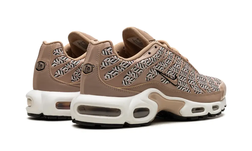 Nike Air Max AIR MAX PLUS WMNS 'United In Victory' 