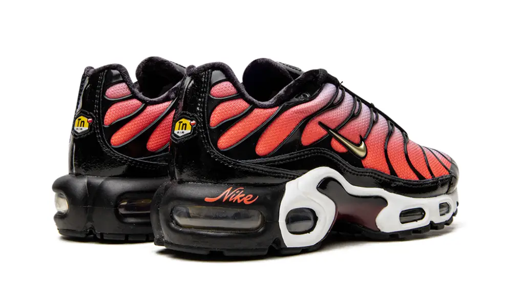 Nike Lifestyle AIR MAX PLUS MNS WMNS 'Sisterhood' 