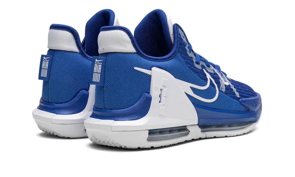 Nike Basketball Lebron Witness VI TB 
