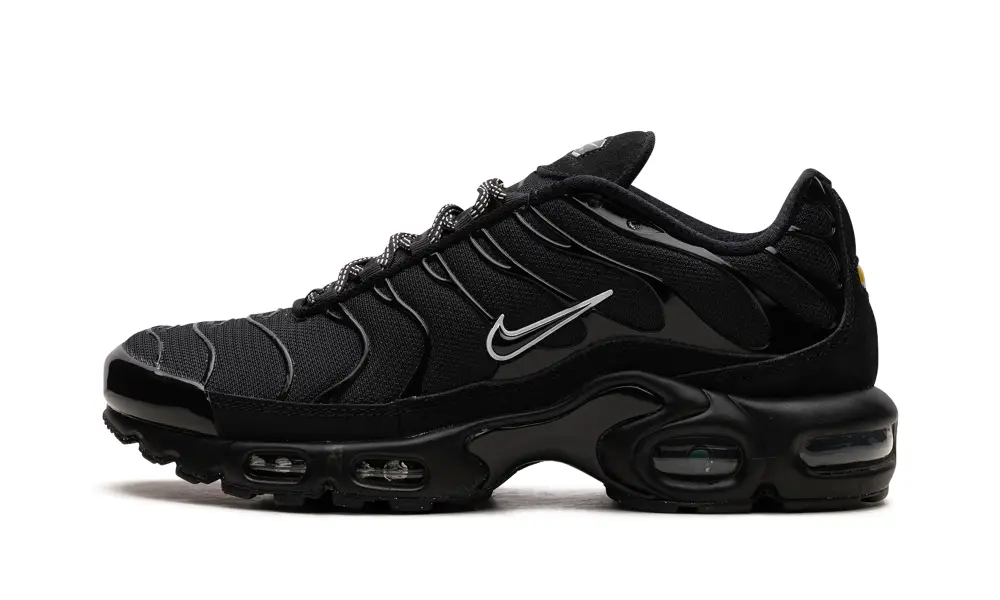 Nike Air Max Air Max Plus 'Berlin Unity' 