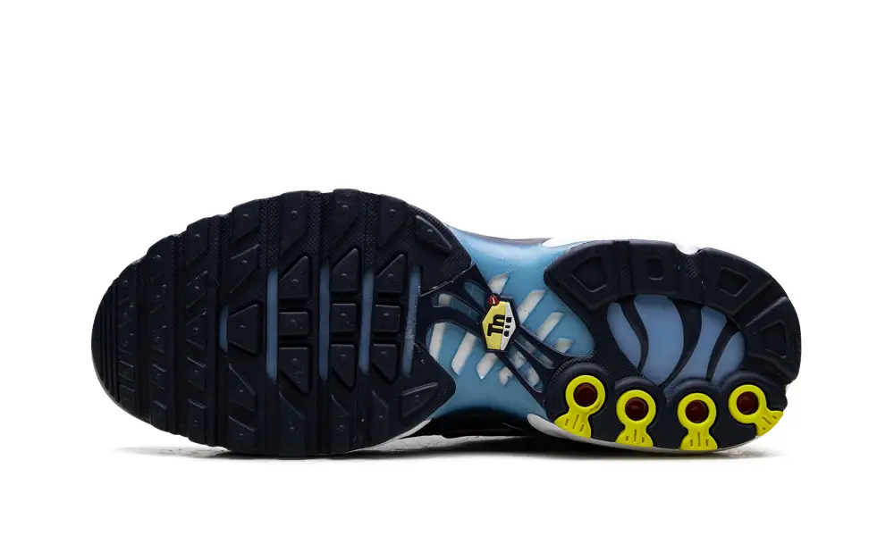 Nike Air Max Air Max Plus 