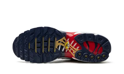 Nike Air Max Air Max Plus 'PSG'