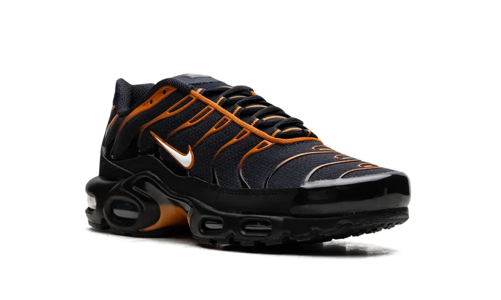 Nike Air Max Air Max Plus 'OBSIDIAN MONARCH' 