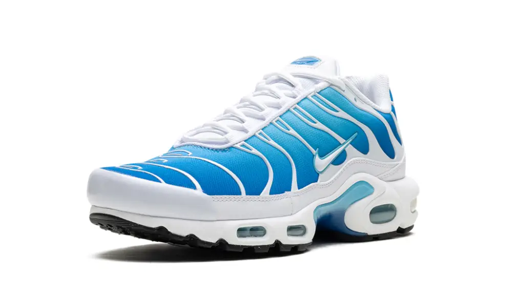 Nike Air Max Air Max Plus 'Blue Gaze' 