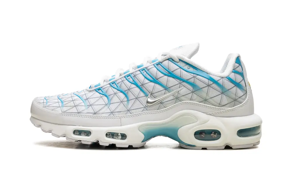 Nike Air Max Air Max Plus 'Marseille'