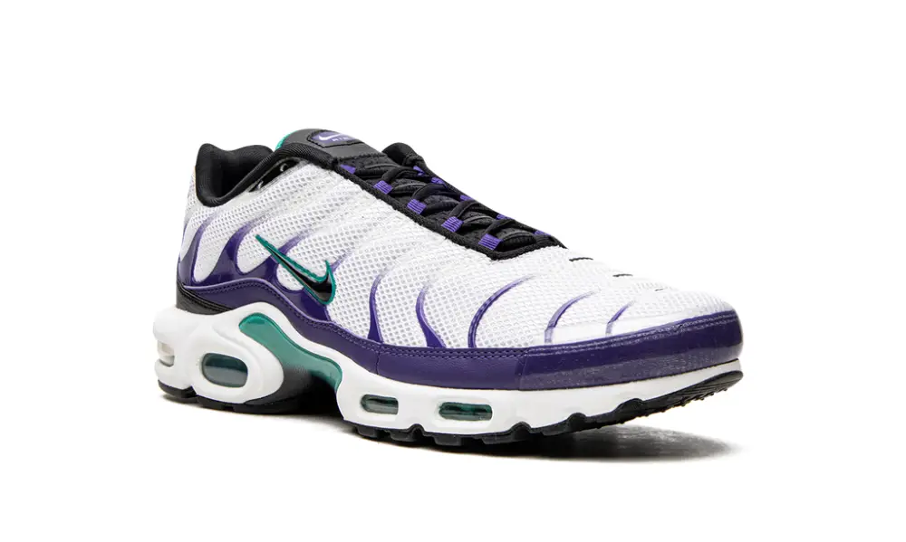Nike Lifestyle Air Max Plus 'Grape'