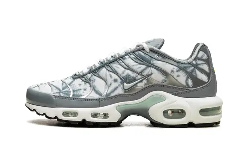 Nike Air Max Air Max Plus 'Waterway' 