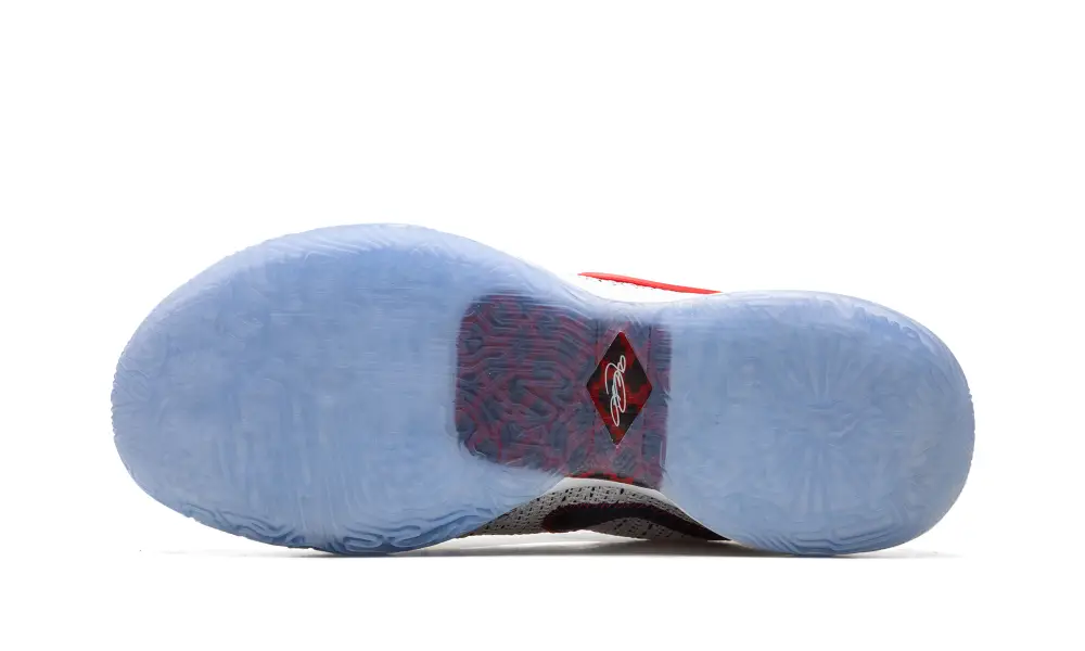 Nike Basketball Lebron 20 'The Debut'