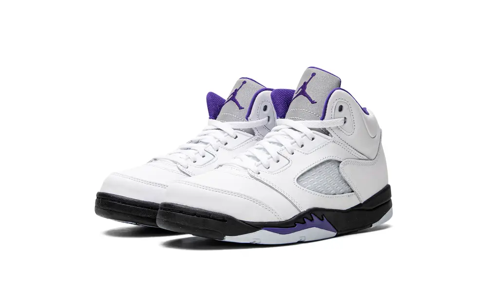 Air Jordan 5 Air Jordan 5 Retro PS 'Concord' 