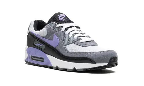 Nike Air Max Air Max 90 'Light Thistle' 