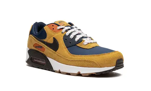 Nike Air Max Air Max 90 'Bucktan' 