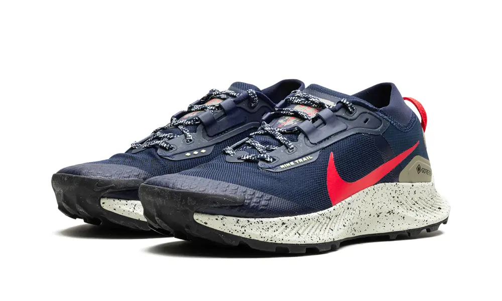 Nike Lifestyle Pegasus Trail 3 GTX 'GORE-TEX'