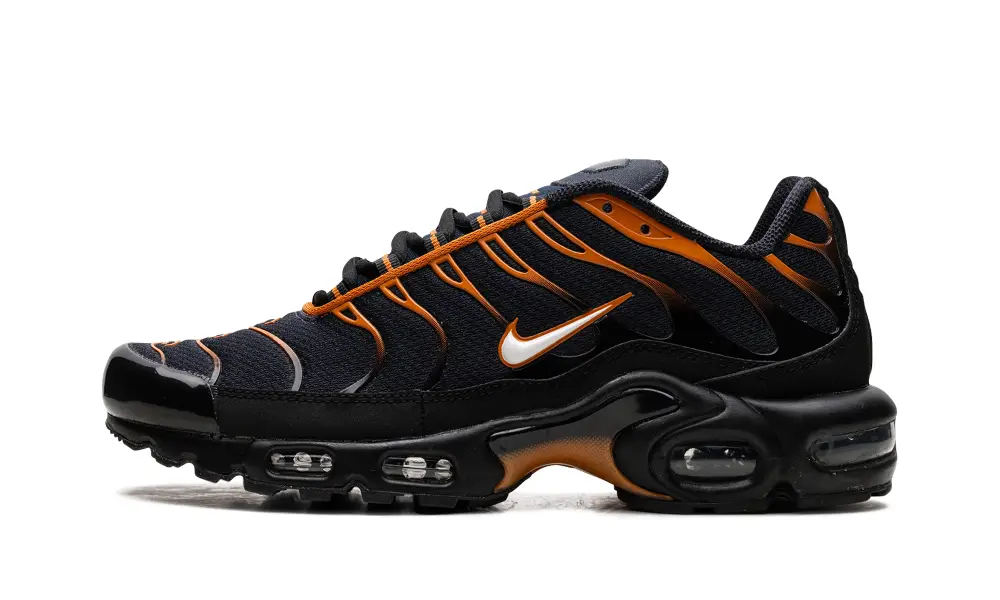 Nike Air Max Air Max Plus 'OBSIDIAN MONARCH' 