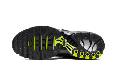 Nike Air Max Air Max Plus 'Metallic Black' 