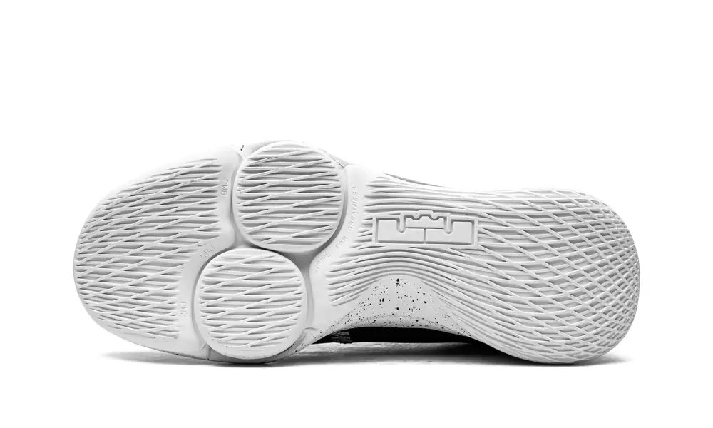 Nike Basketball LeBron Witness V 