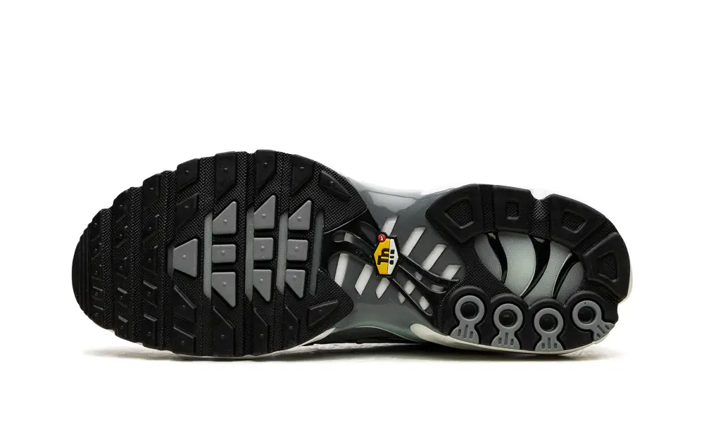 Nike Air Max Air Max Plus 'Waterway'