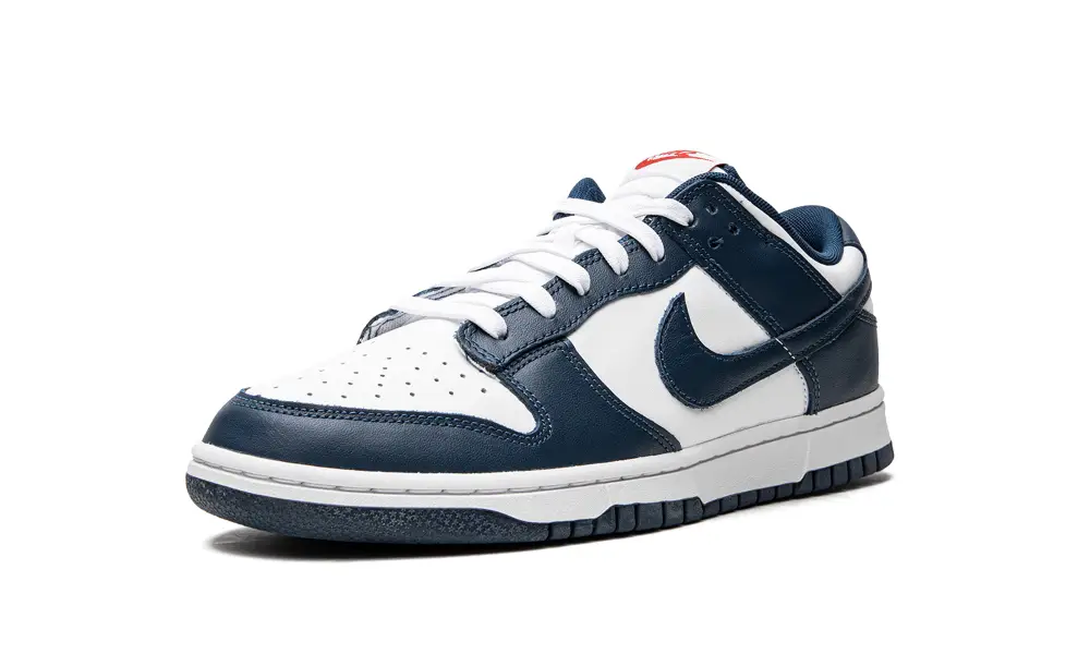Nike Dunk Dunk Low Retro 'USA'