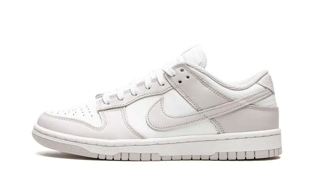 Nike Dunk DUNK LO MNS WMNS 'Venice' 