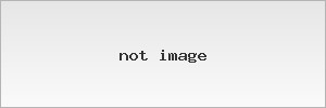 More Adidas Shoes Adistar Cushion 'Sporty & Rich - USA' 