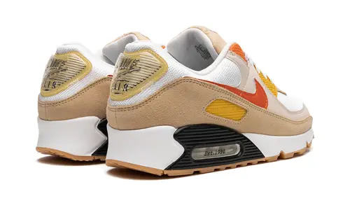 Nike Air Max Air Max 90 'Pressure' 