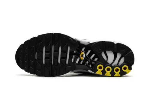 Nike Air Max Air Max Plus 'Black   White' 