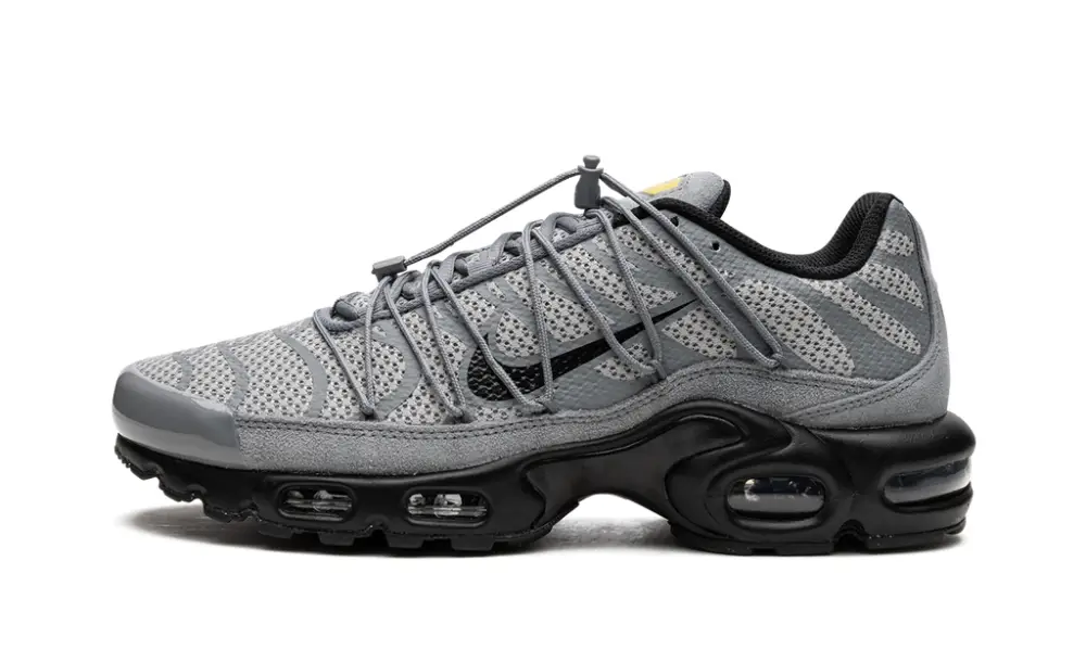 Nike Air Max Air Max Plus 'Bungee' 
